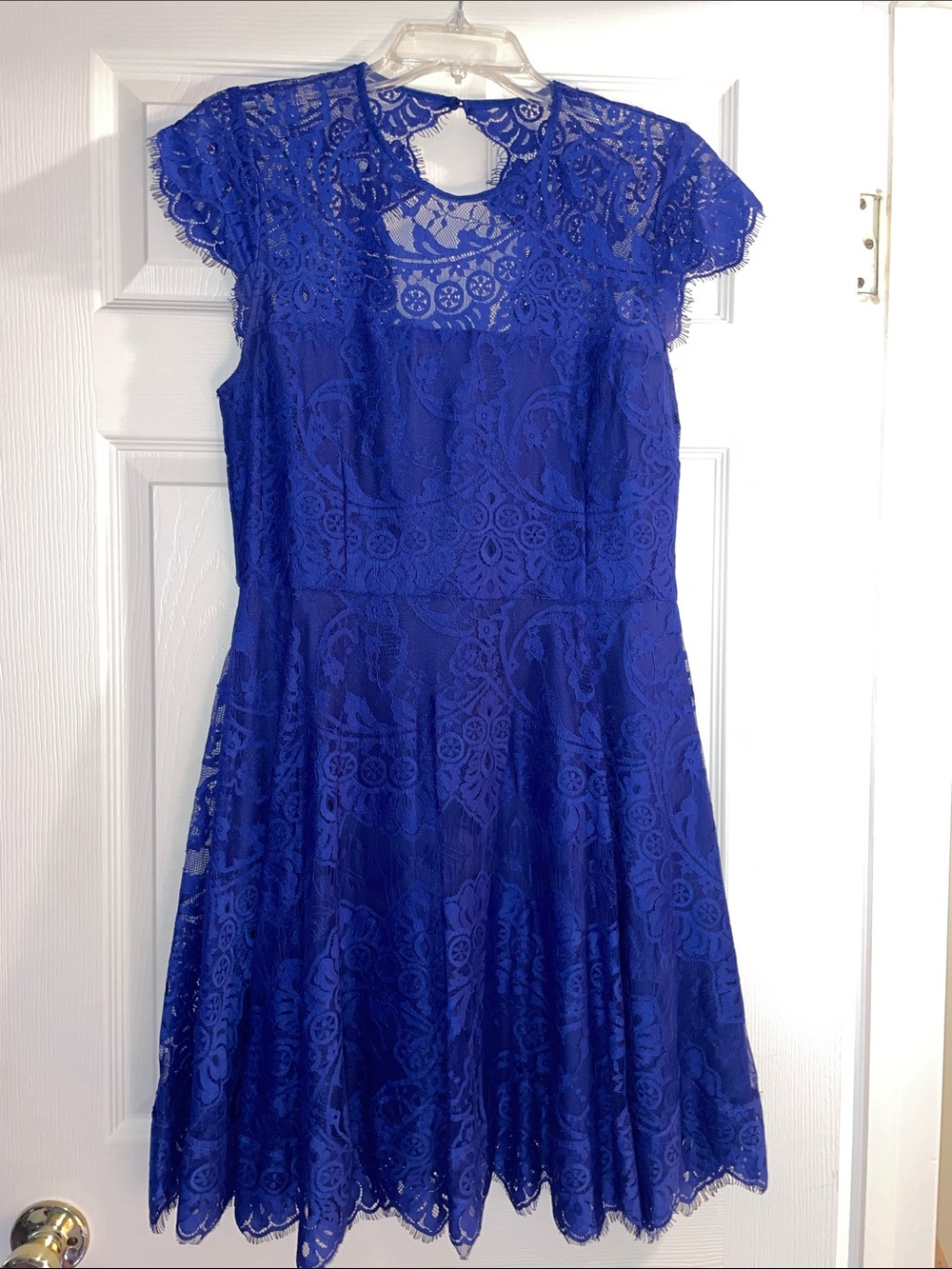 BB Dakota Royal Blue Lace Fit-and-Flare Dress